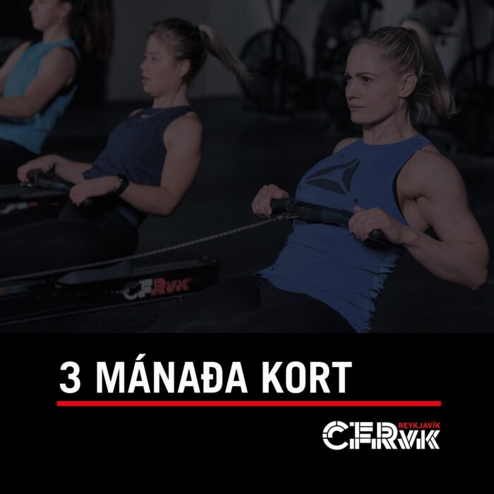 3 mánaða kort